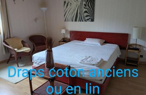 Varces-Allieres-et-Risset House | Chez Claire - Immense chambre, salle de bain indépendante réservée aux voyageurs, quartier calme, cour fermée