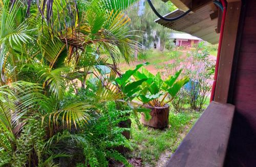 Saul House | Chez Faby