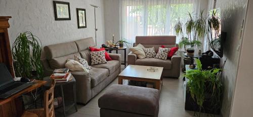 Miroir - Batignolles House | Chez Francis
