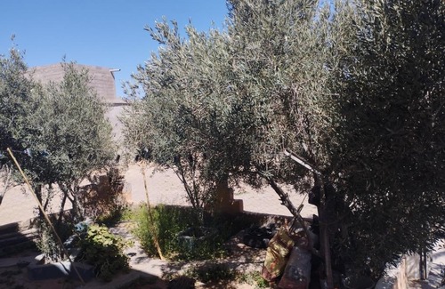 Tansifte Bed & Breakfast | Chez l'habitant Fatima