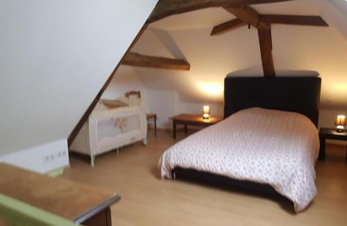 Beaulieu-sur-Loire House | Chez laiko wifi gratuit
