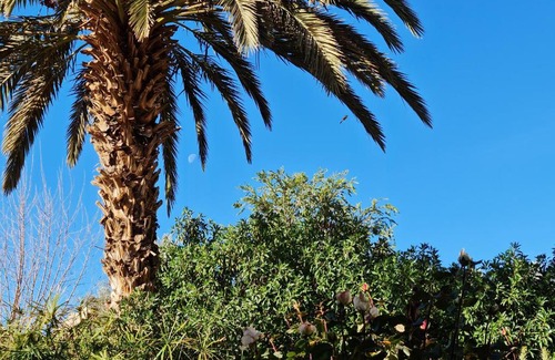 Skoura Bed & Breakfast | Chez Laila