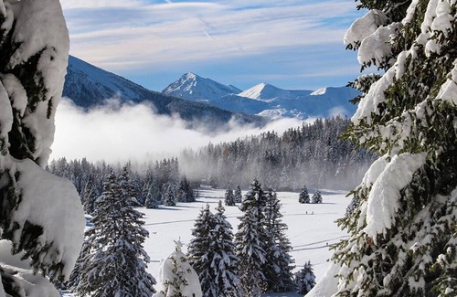 Vaulnaveys-le-Bas Bed & Breakfast | Chez Les Rés - T2 with garden in house near Uriage - Chamrousse