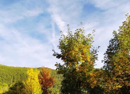 Chatillon House | Chez Lucie CIR 0010
