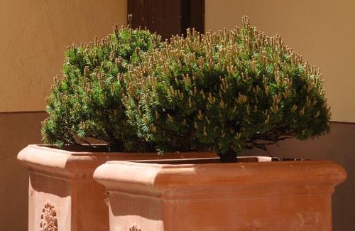 Astano Bed & Breakfast | Chez Marianne "chambres d'hôtes"