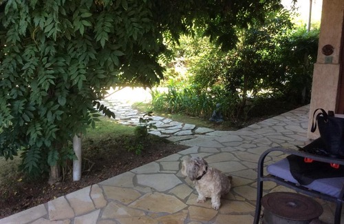 Angresse Bed & Breakfast | Chez Uli