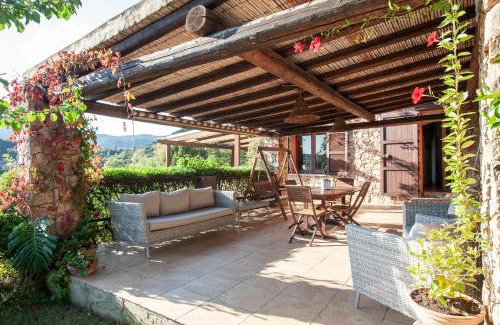 Chia House | Chia Soul Home