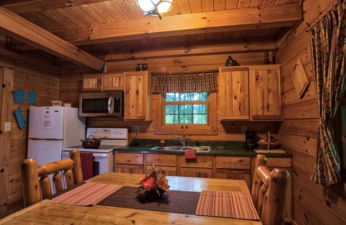 New Plymouth Cabin | Chicory Cabin near Ash Cave