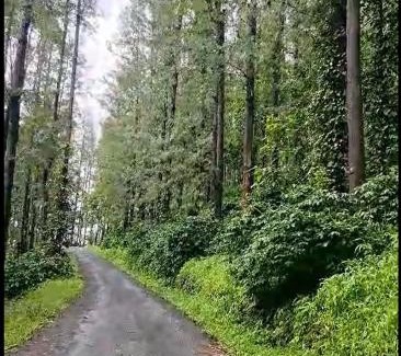 Sangameswarpet House | chikkamagaluru coffeekanahomestay