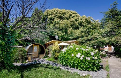 Pucon Hostel | Chili Kiwi Lakefront Backpackers