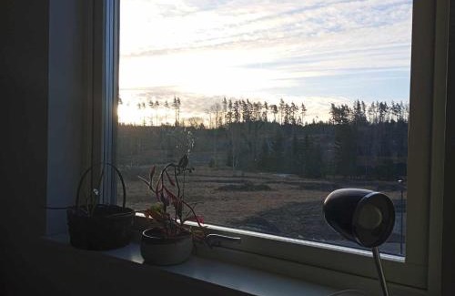 Osmo Hostel | Chill and stay
