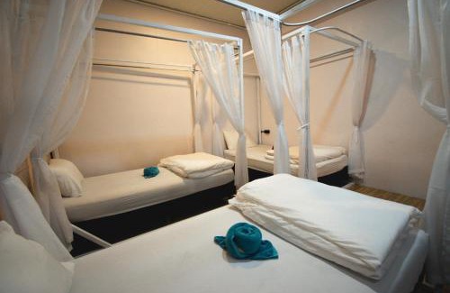 Khlong Sok Hostel | Chillax Khaosok Hostel - SHA Certified