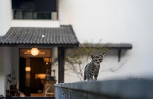 Anji House | Chillmont Resort