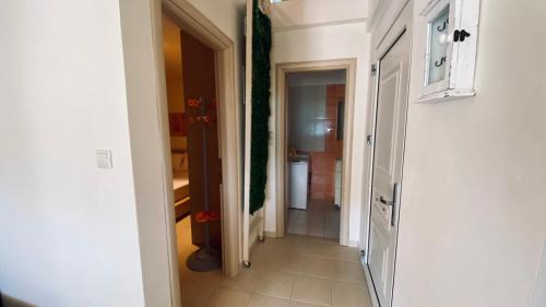 Chrisi Ammoudia Apartment | Chiotis Family House