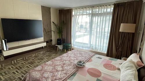 Mohali Apartment | Chobara707- A Royal Rooftop Escape in the Tricity