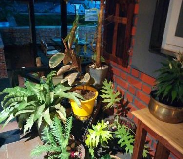 Horur House | Chombuka