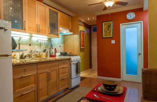 New Kingston Apartment | Choose To Be Happy @ Seymour # 16 (Studio)