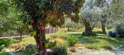 Megalos Prinos Villa | Chrisella Villa