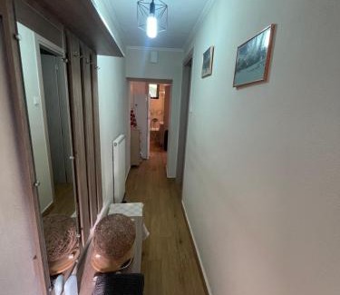 Central Tzoumerka Apartment | Christo's Place Katarraktis Artas