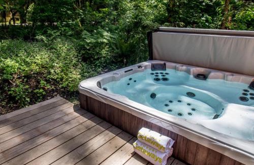Glacier House | Church Mountain View Chalet