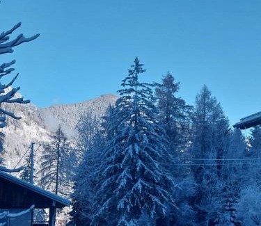 Cibiana di Cadore Apartment | Ciasa de Milu