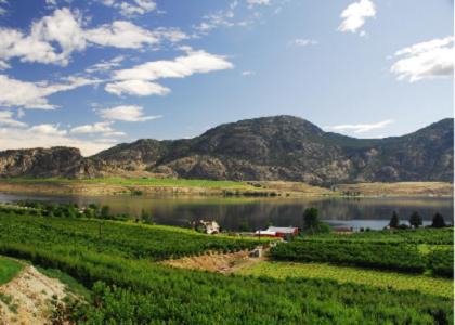 Okanagan-Similkameen Apartment | Ciliegia Villa