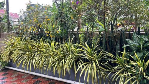 Vayittiri House | CITADEL HOLIDAY HOME