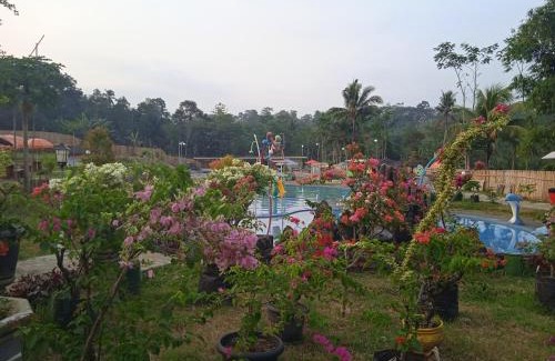Kajarharjo Other | Citra Mandiri Glamping
