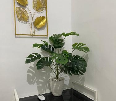 Banyuwangi House | Citra Solong Homestay