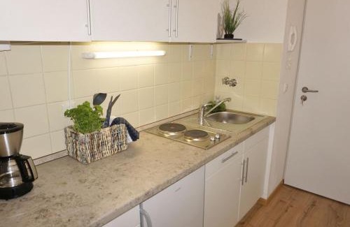 Gmain Apartment | City Appartement