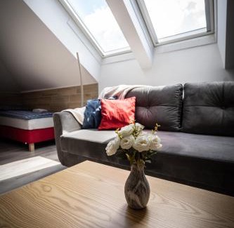 Augustow Apartment | City Center Apartments Lofty z klimatyzacją