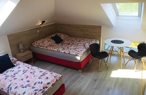 Augustow Apartment | City Center Apartments Lofty z klimatyzacją
