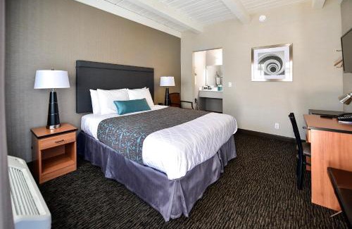 Downtown San Francisco Hotel | City Center Inn and Suites