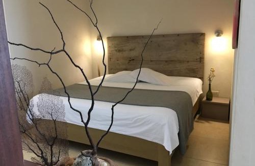 Chichen Itza - Valladolid House | City Center Studyo "Casa Natural"