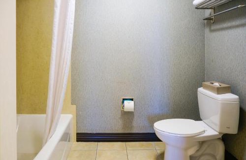 Tree Section Hotel | City Express by Marriott Manhattan Beach