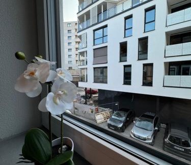 Rosenheim House | City Ferien Wohnungen 1