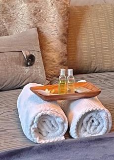 Olympus Cove Apartment | City light views getaway close to top ski resorts