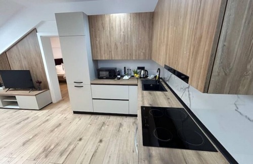 Timisoara Apartment | City South Apartments 5 Free Parking