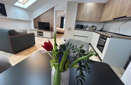 Timisoara Apartment | City South Apartments 5 Free Parking