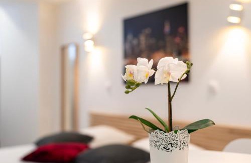 Orangerie Apartment | CityCosy Strasbourg - Studio Hirtz Orangerie