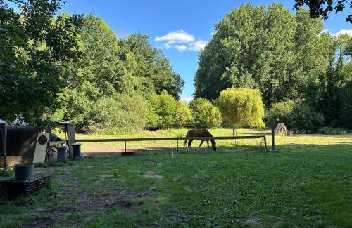 Luzarches Other | Clairière de 3000m2 en pleine forêt