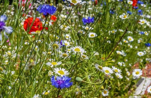West Wittering Apartment | Claron Lodge