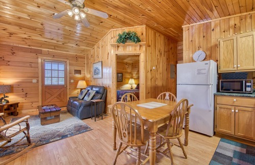 Waynesville Cabin | Classic lake cabin with WiFi, deck, kitchen, partial AC - dogs OK