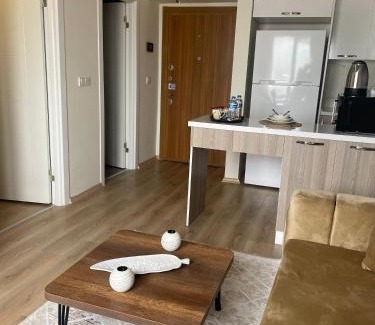 Esenyurt Apartment | Classic Suite MS33