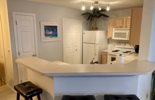 Beach Haven Condo | Clean & Updated Condo - Close to Mayo Clinic, Shopping & More!