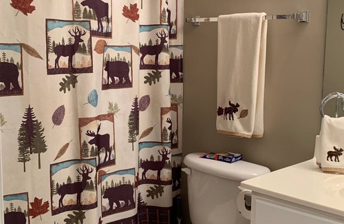 Camdenton Condo | Clearwater Condo