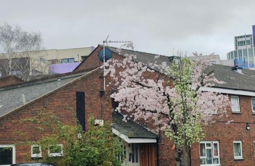 Canning Town Bed & Breakfast | Clifton House O2 & Excel Rooms with private bathroom and Breakfast option
