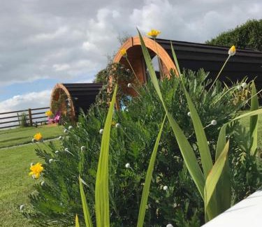 Clonakilty Cabin | Clonakilty Accommodation An Úllórd Getways