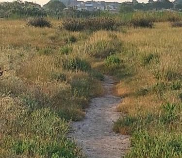 Vic-la-Gardiole House | Clos Gabmy entre plage et garrigue