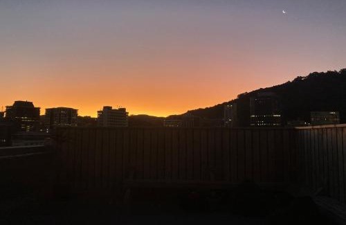 Wellington Apartment | Close to City, Ferry with great views and free park
